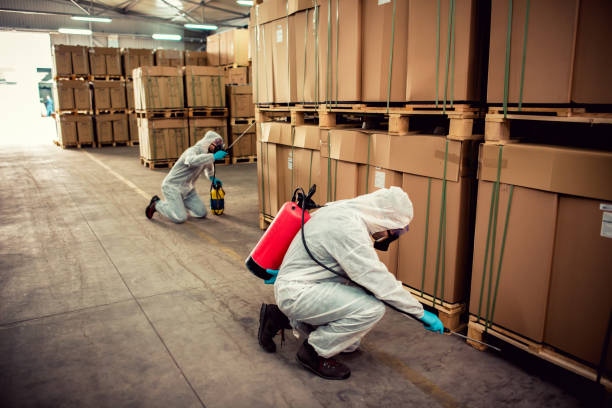 Best Cockroach Control Services  in Craig Beach, OH