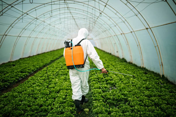 Best Best Pest Control Companies  in Craig Beach, OH