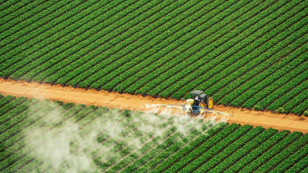 Best Mosquito Control Services  in Craig Beach, OH